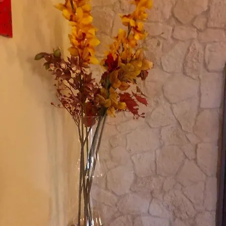 Al Vecchio Arco Appartament Apartment
